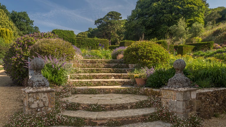 Image of stone steps and flowers around the edges